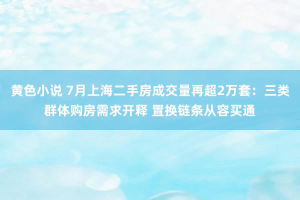 黄色小说 7月上海二手房成交量再超2万套：三类群体购房需求开释 置换链条从容买通