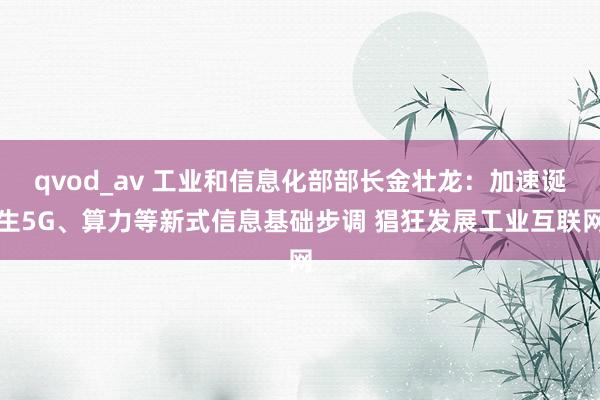 qvod_av 工业和信息化部部长金壮龙：加速诞生5G、算力等新式信息基础步调 猖狂发展工业互联网