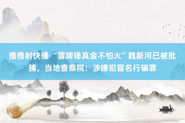 撸撸射快播 “冒牌锤真金不怕火”魏新河已被批捕，当地查察院：涉嫌犯冒名行骗罪