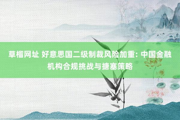 草榴网址 好意思国二级制裁风险加重: 中国金融机构合规挑战与搪塞策略