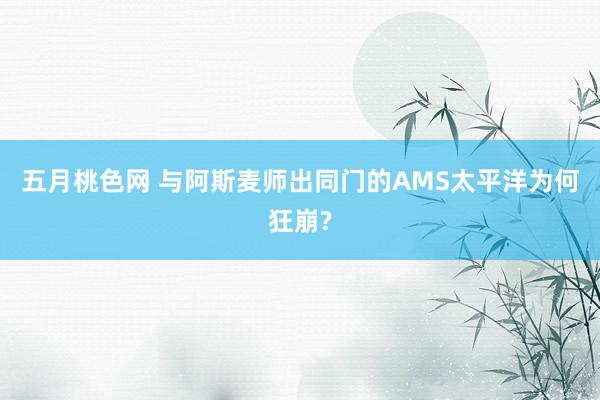 五月桃色网 与阿斯麦师出同门的AMS太平洋为何狂崩?