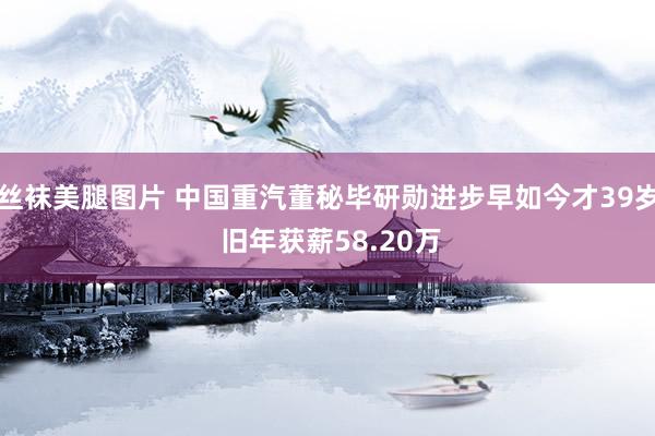 丝袜美腿图片 中国重汽董秘毕研勋进步早如今才39岁 旧年获薪58.20万