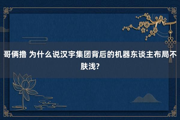 哥俩撸 为什么说汉宇集团背后的机器东谈主布局不肤浅?