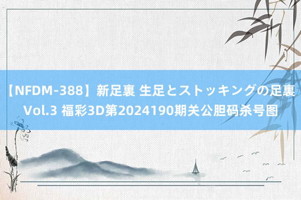 【NFDM-388】新足裏 生足とストッキングの足裏 Vol.3 福彩3D第2024190期关公胆码杀号图