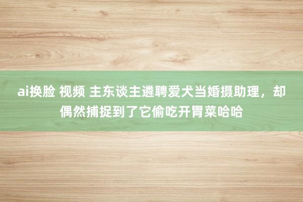 ai换脸 视频 主东谈主遴聘爱犬当婚摄助理，却偶然捕捉到了它偷吃开胃菜哈哈