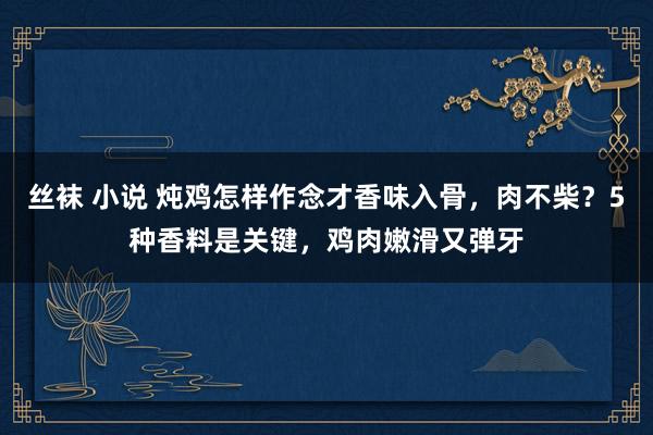 丝袜 小说 炖鸡怎样作念才香味入骨，肉不柴？5种香料是关键，鸡肉嫩滑又弹牙