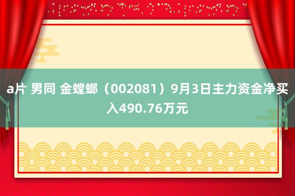 a片 男同 金螳螂（002081）9月3日主力资金净买入490.76万元