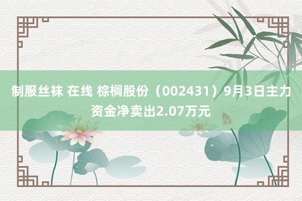 制服丝袜 在线 棕榈股份（002431）9月3日主力资金净卖出2.07万元