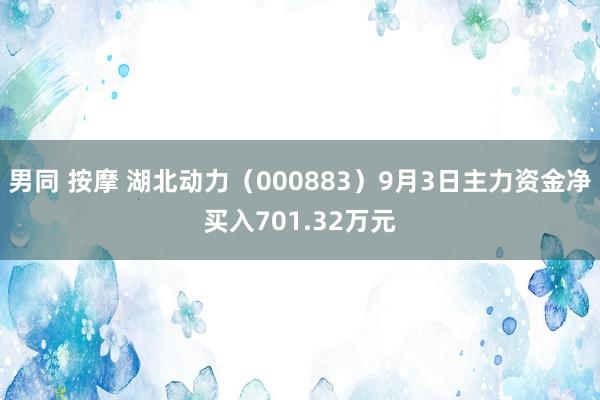 男同 按摩 湖北动力（000883）9月3日主力资金净买入701.32万元