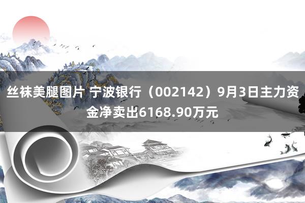 丝袜美腿图片 宁波银行（002142）9月3日主力资金净卖出6168.90万元