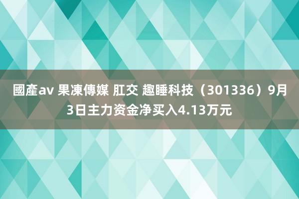 國產av 果凍傳媒 肛交 趣睡科技（301336）9月3日主力资金净买入4.13万元