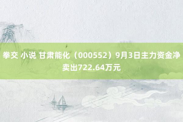 拳交 小说 甘肃能化（000552）9月3日主力资金净卖出722.64万元