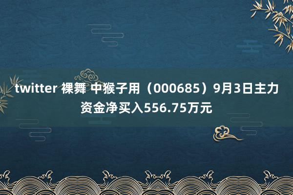 twitter 裸舞 中猴子用（000685）9月3日主力资金净买入556.75万元