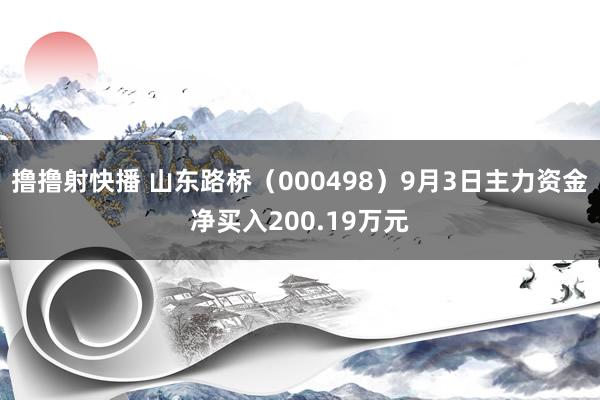 撸撸射快播 山东路桥（000498）9月3日主力资金净买入200.19万元