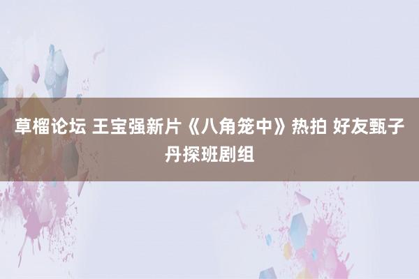 草榴论坛 王宝强新片《八角笼中》热拍 好友甄子丹探班剧组