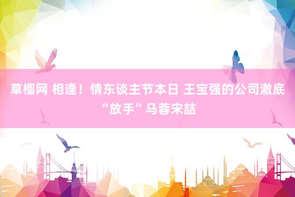 草榴网 相逢！情东谈主节本日 王宝强的公司澈底“放手”马蓉宋喆