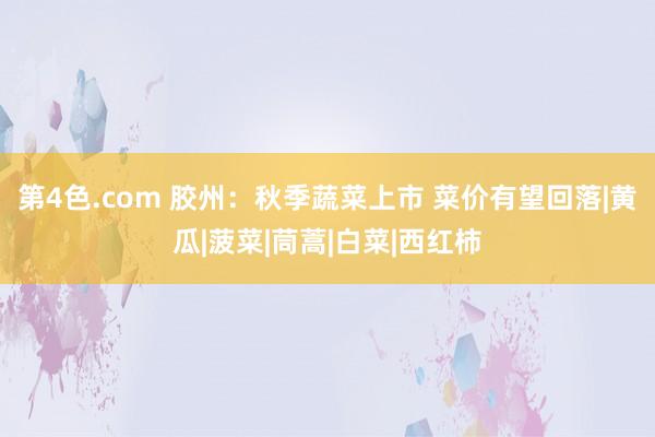 第4色.com 胶州：秋季蔬菜上市 菜价有望回落|黄瓜|菠菜|茼蒿|白菜|西红柿