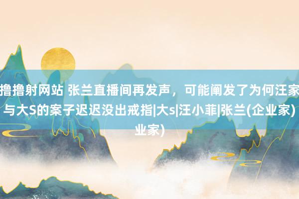 撸撸射网站 张兰直播间再发声，可能阐发了为何汪家与大S的案子迟迟没出戒指|大s|汪小菲|张兰(企业家)