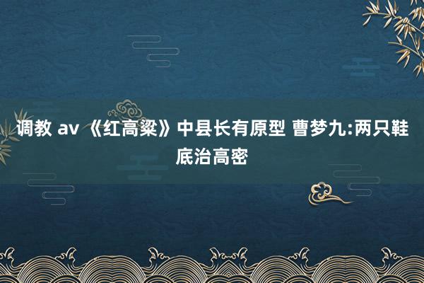 调教 av 《红高粱》中县长有原型 曹梦九:两只鞋底治高密