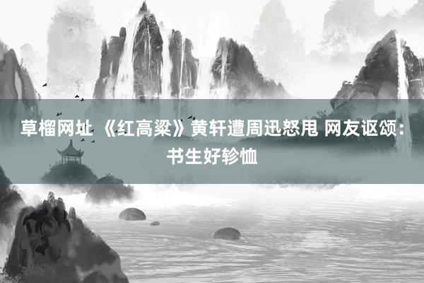 草榴网址 《红高粱》黄轩遭周迅怒甩 网友讴颂：书生好轸恤