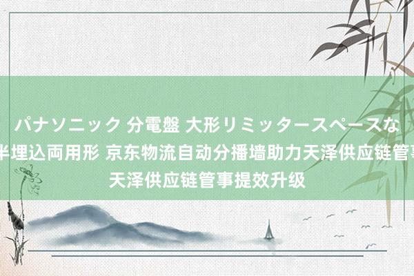 パナソニック 分電盤 大形リミッタースペースなし 露出・半埋込両用形 京东物流自动分播墙助力天泽供应链管事提效升级