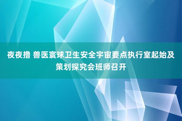 夜夜撸 兽医寰球卫生安全宇宙要点执行室起始及策划探究会班师召开