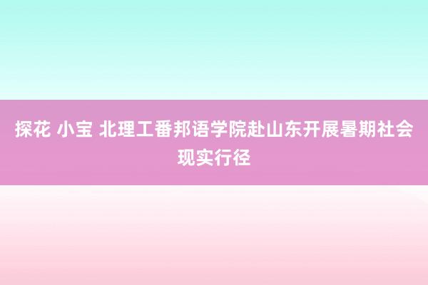 探花 小宝 北理工番邦语学院赴山东开展暑期社会现实行径