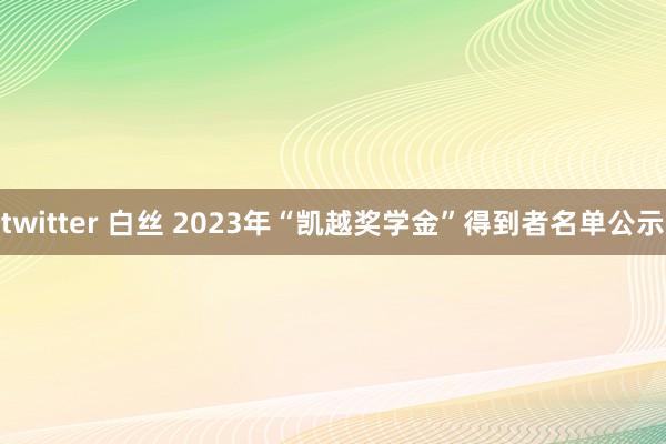 twitter 白丝 2023年“凯越奖学金”得到者名单公示